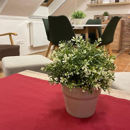 Sport Apartman Hajdúszoboszló Extérieur photo