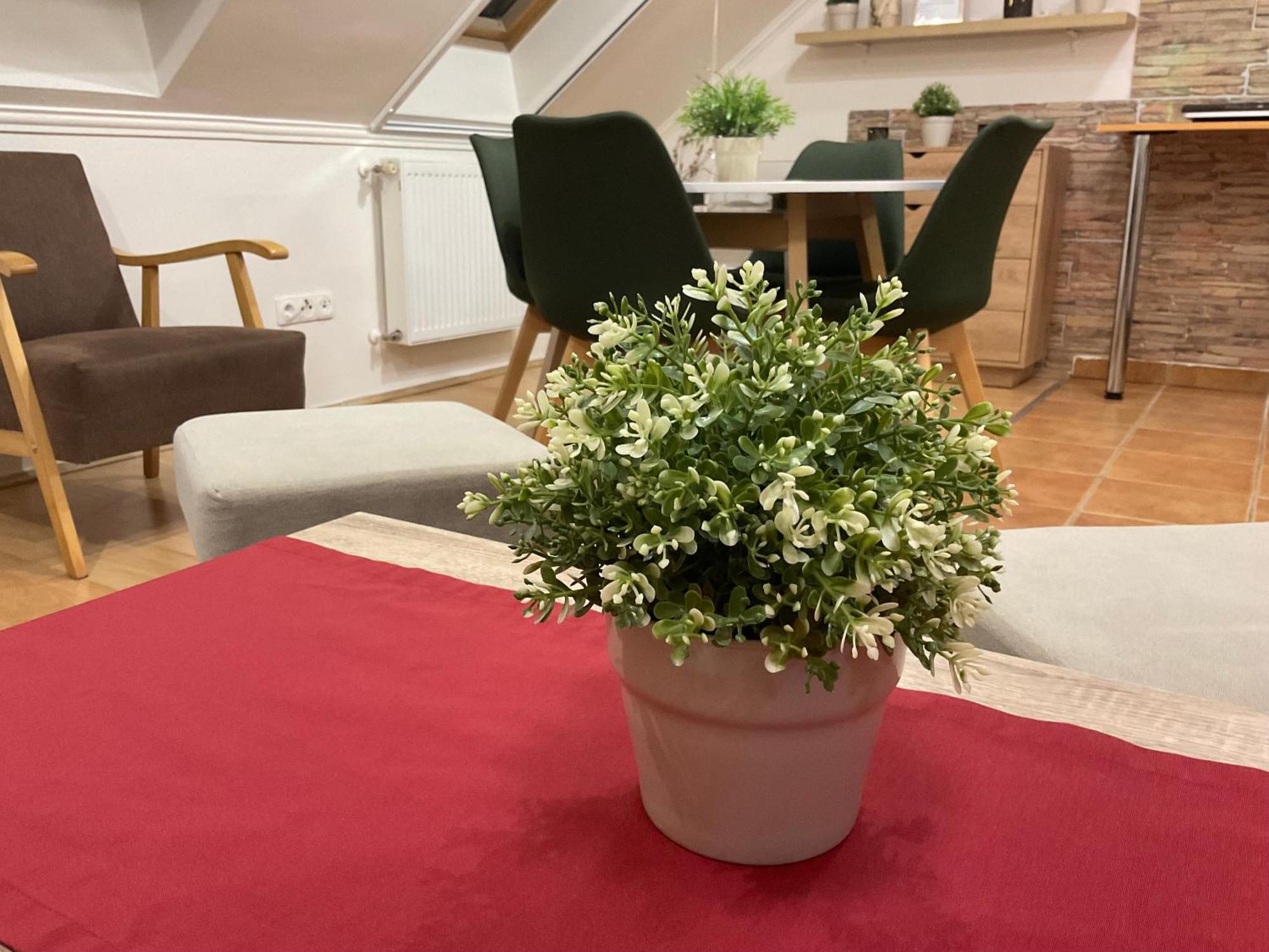 Sport Apartman Hajdúszoboszló Extérieur photo